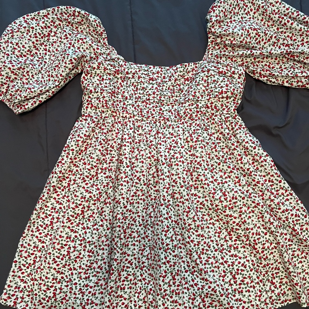 Abercrombie & Fitch Red and White Floral Dress